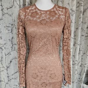Speechless Blush Pink Lace Bodycon Dress
